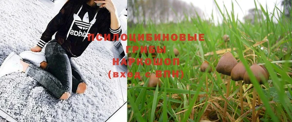 прущая мука Балабаново
